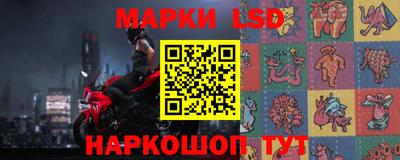 спайс Кингисепп