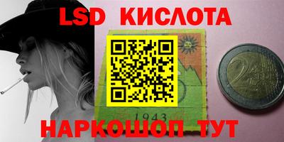 спайс Кингисепп