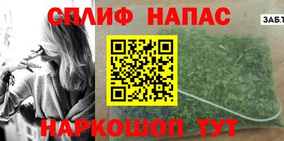 спайс Кингисепп