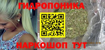 спайс Кингисепп