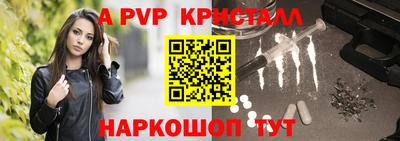 спайс Кингисепп
