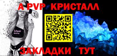 спайс Кингисепп