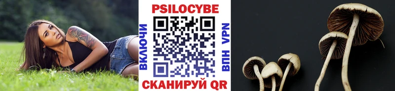 купить наркоту  Кимры  Псилоцибиновые грибы мухоморы 