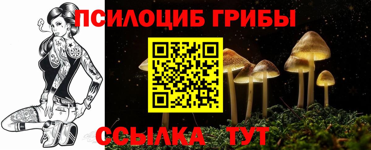 Кимры  Псилоцибиновые грибы ЛСД  Вход с VPN 