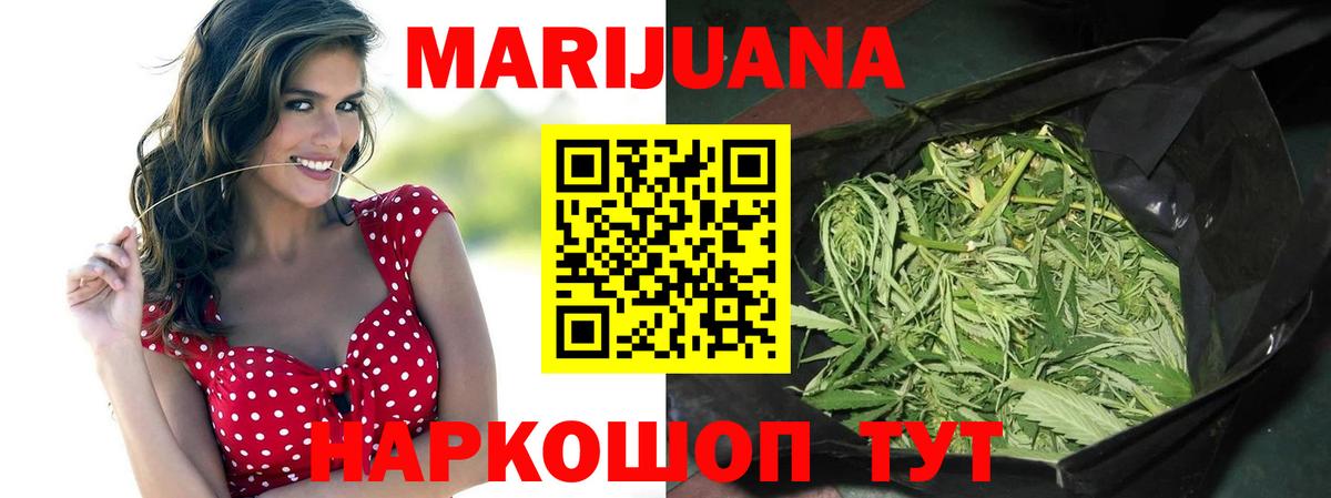 Каннабис планчик Кимры